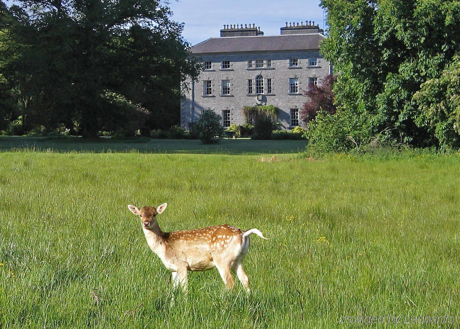 Coopershill House Hotel Riverstown  Exterior foto